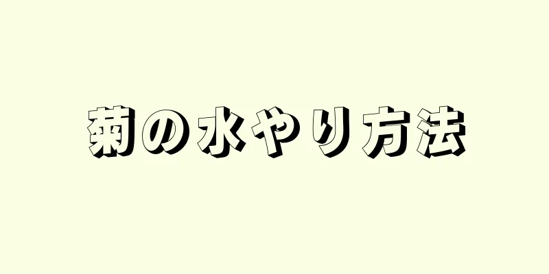 菊の水やり方法