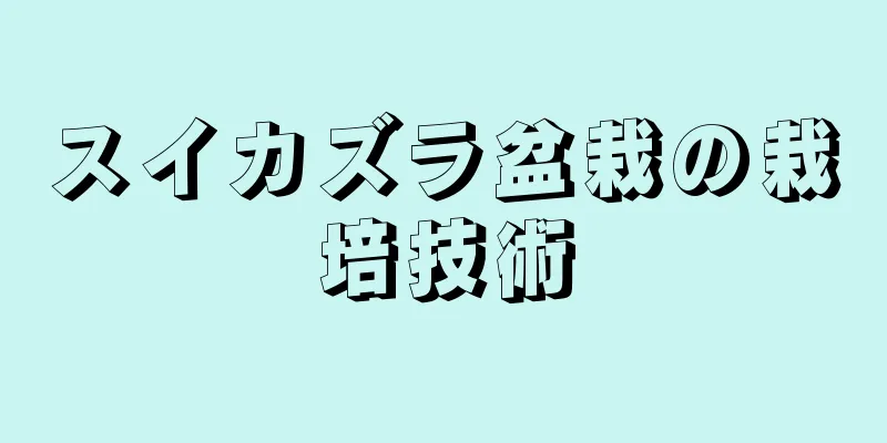 スイカズラ盆栽の栽培技術