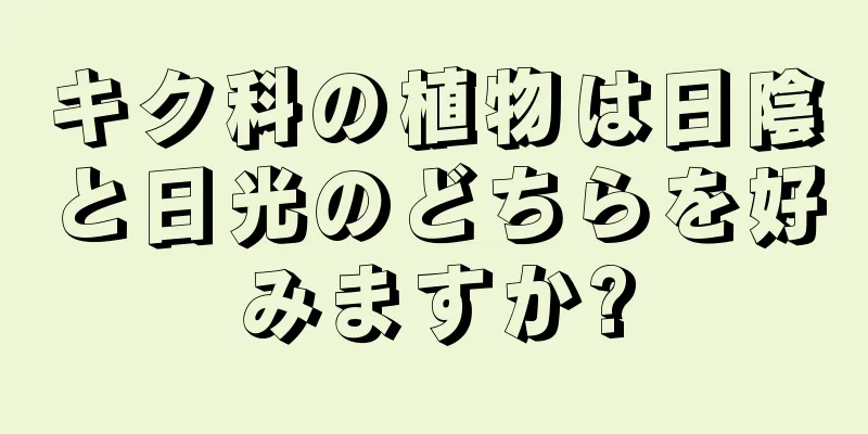 キク科の植物は日陰と日光のどちらを好みますか?