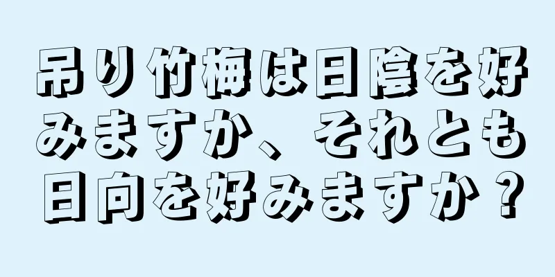 吊り竹梅は日陰を好みますか、それとも日向を好みますか？