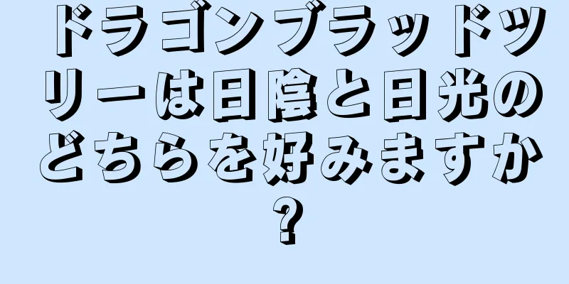 ドラゴンブラッドツリーは日陰と日光のどちらを好みますか?
