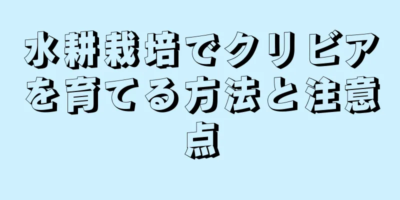 水耕栽培でクリビアを育てる方法と注意点