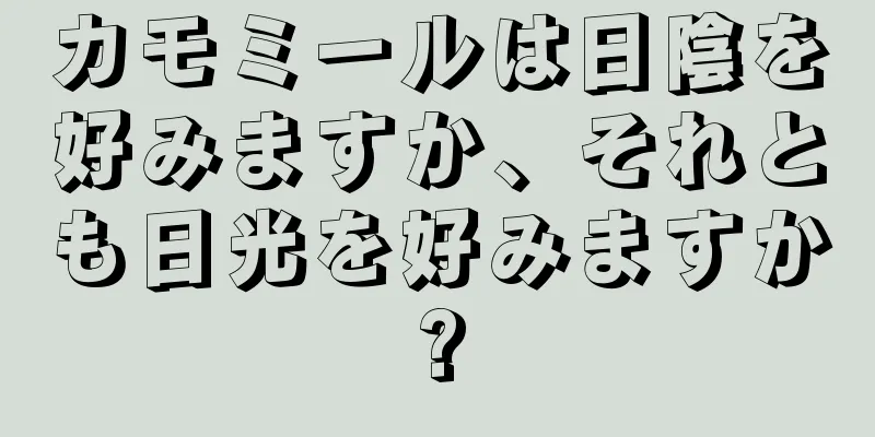 カモミールは日陰を好みますか、それとも日光を好みますか?