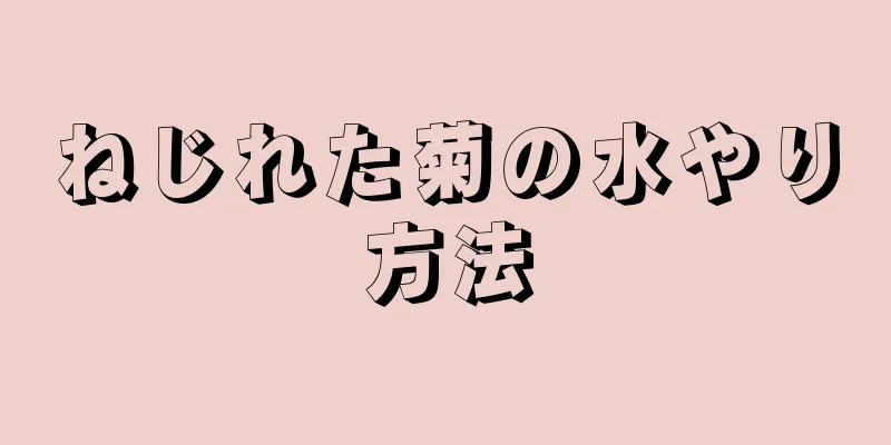 ねじれた菊の水やり方法