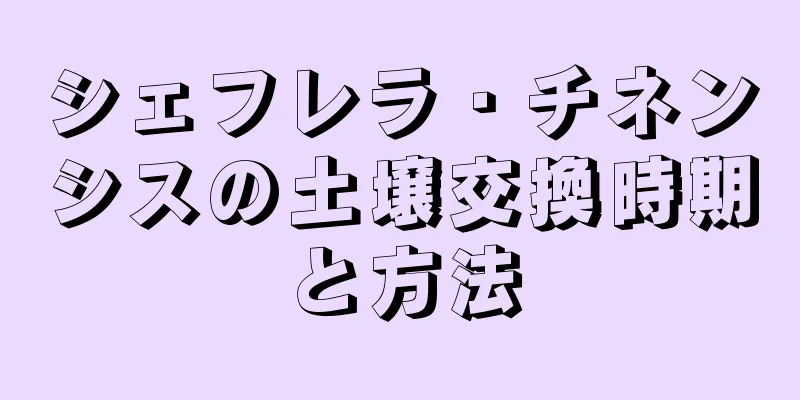 シェフレラ・チネンシスの土壌交換時期と方法