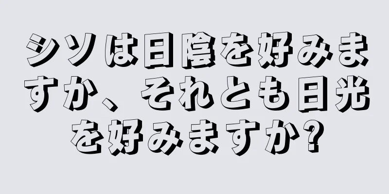 シソは日陰を好みますか、それとも日光を好みますか?