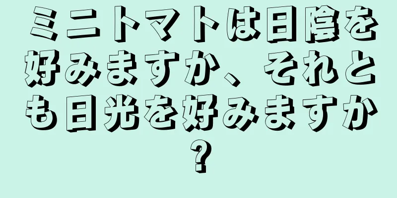 ミニトマトは日陰を好みますか、それとも日光を好みますか?