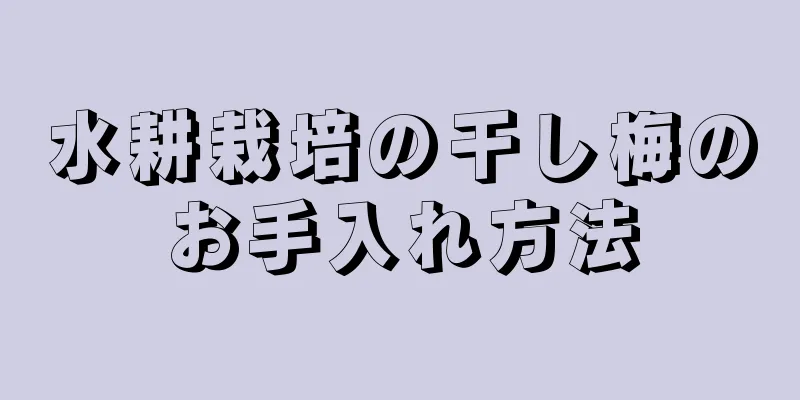 水耕栽培の干し梅のお手入れ方法