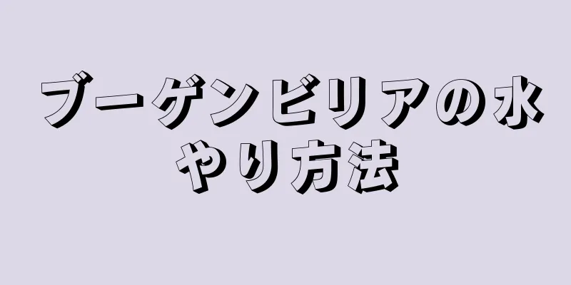 ブーゲンビリアの水やり方法