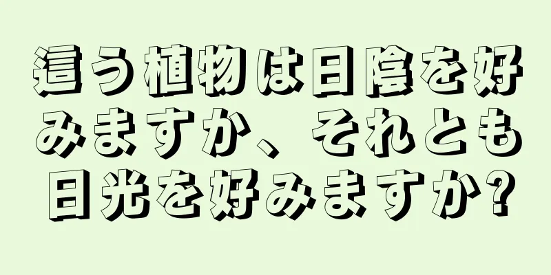 這う植物は日陰を好みますか、それとも日光を好みますか?