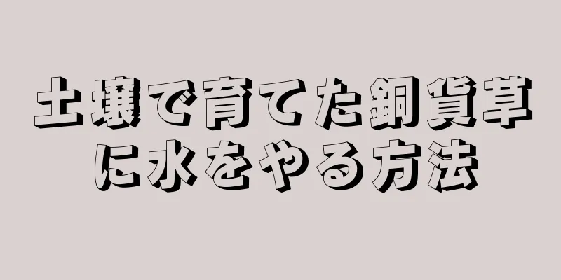 土壌で育てた銅貨草に水をやる方法
