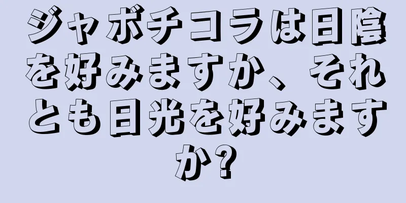 ジャボチコラは日陰を好みますか、それとも日光を好みますか?