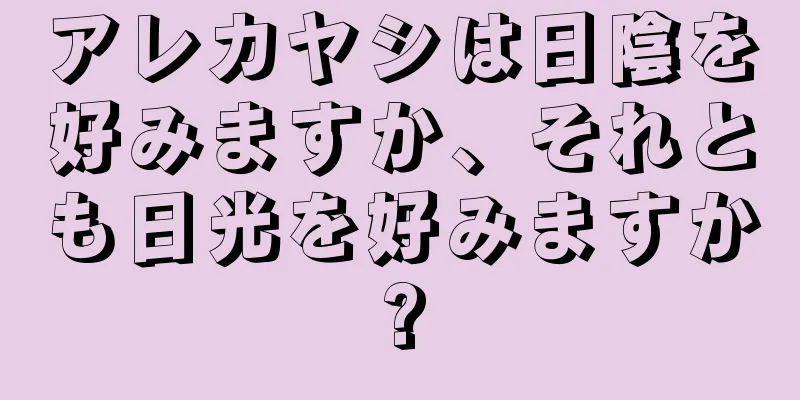 アレカヤシは日陰を好みますか、それとも日光を好みますか?