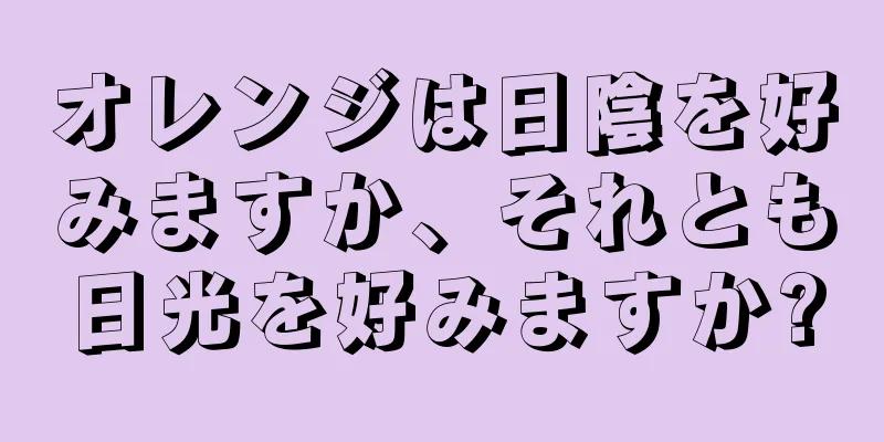 オレンジは日陰を好みますか、それとも日光を好みますか?