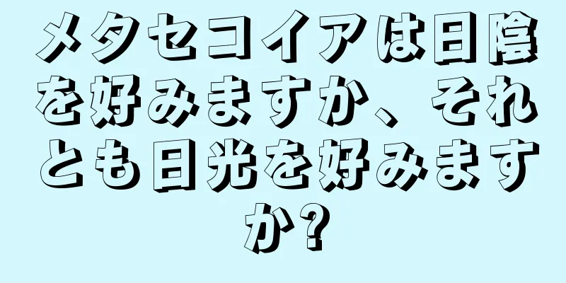 メタセコイアは日陰を好みますか、それとも日光を好みますか?