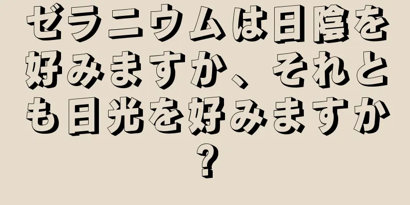 ゼラニウムは日陰を好みますか、それとも日光を好みますか?