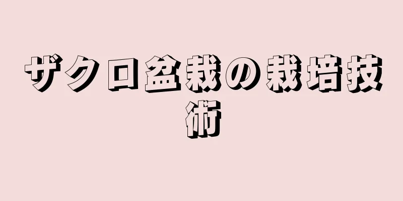 ザクロ盆栽の栽培技術