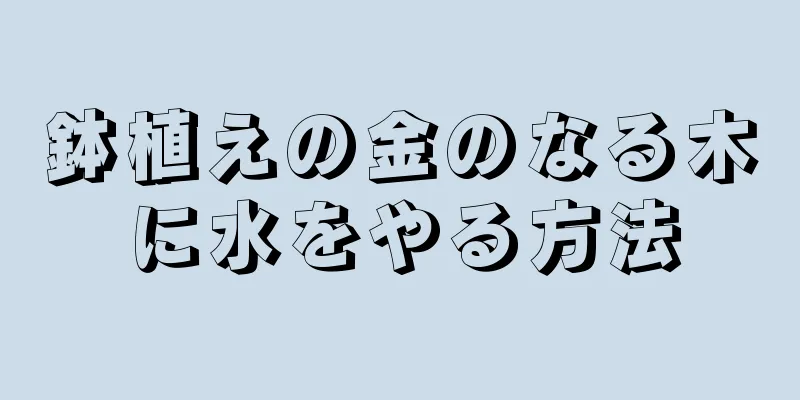 鉢植えの金のなる木に水をやる方法