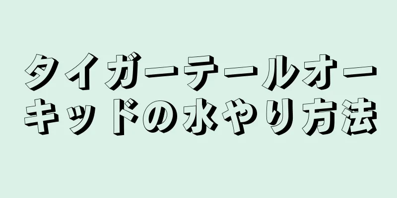 タイガーテールオーキッドの水やり方法