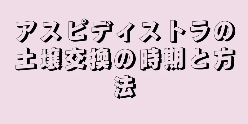 アスピディストラの土壌交換の時期と方法