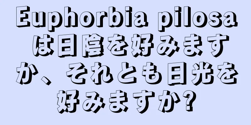 Euphorbia pilosa は日陰を好みますか、それとも日光を好みますか?
