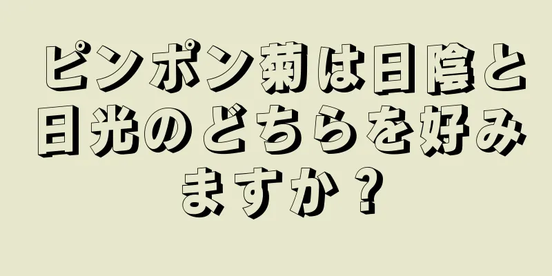 ピンポン菊は日陰と日光のどちらを好みますか？