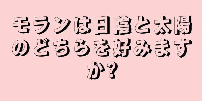 モランは日陰と太陽のどちらを好みますか?