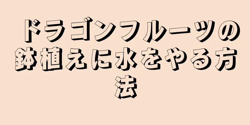 ドラゴンフルーツの鉢植えに水をやる方法