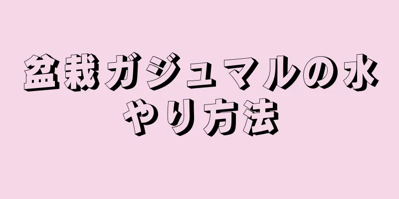 盆栽ガジュマルの水やり方法