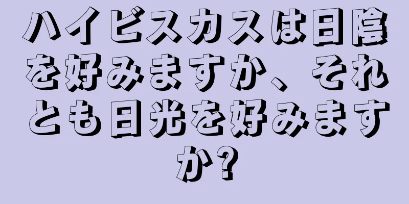 ハイビスカスは日陰を好みますか、それとも日光を好みますか?