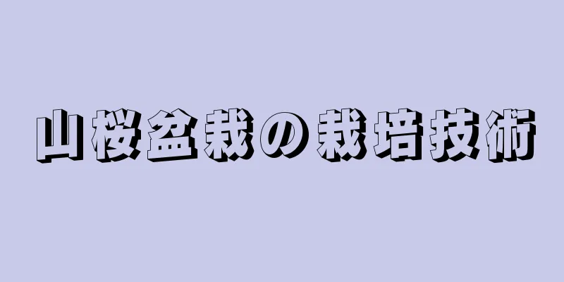 山桜盆栽の栽培技術