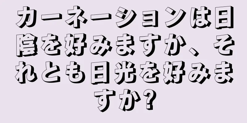 カーネーションは日陰を好みますか、それとも日光を好みますか?