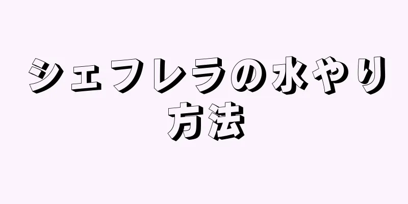 シェフレラの水やり方法