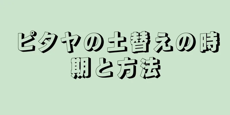 ピタヤの土替えの時期と方法