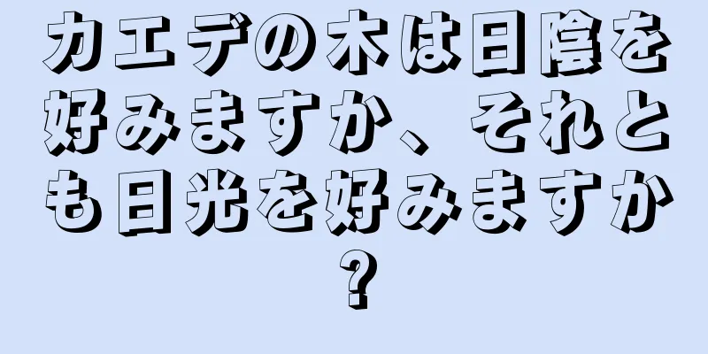カエデの木は日陰を好みますか、それとも日光を好みますか?