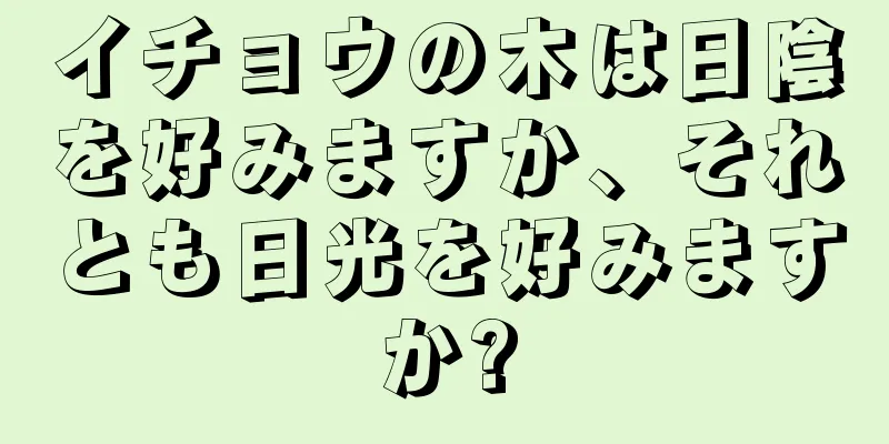 イチョウの木は日陰を好みますか、それとも日光を好みますか?