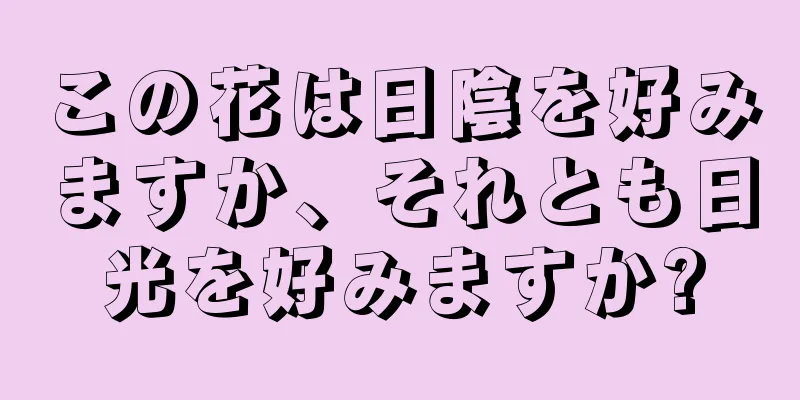 この花は日陰を好みますか、それとも日光を好みますか?