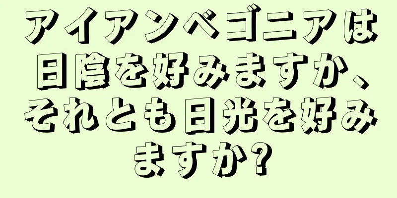 アイアンベゴニアは日陰を好みますか、それとも日光を好みますか?