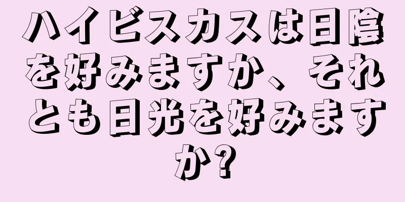 ハイビスカスは日陰を好みますか、それとも日光を好みますか?