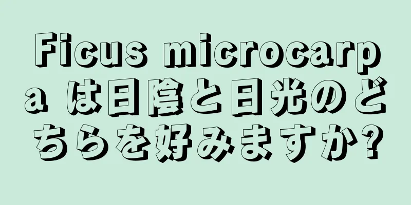 Ficus microcarpa は日陰と日光のどちらを好みますか?