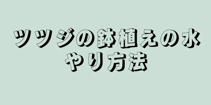 ツツジの鉢植えの水やり方法