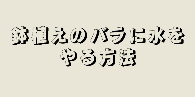 鉢植えのバラに水をやる方法