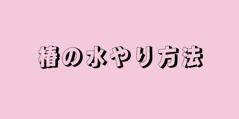 椿の水やり方法