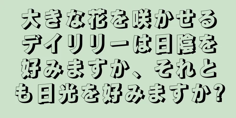 大きな花を咲かせるデイリリーは日陰を好みますか、それとも日光を好みますか?