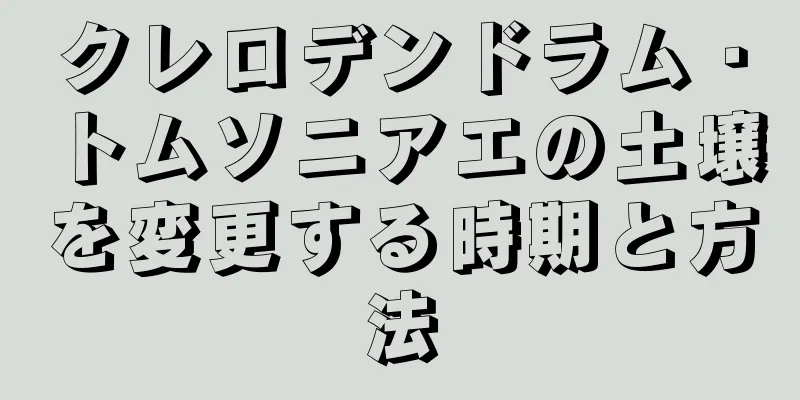 クレロデンドラム・トムソニアエの土壌を変更する時期と方法