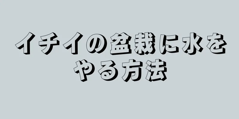 イチイの盆栽に水をやる方法