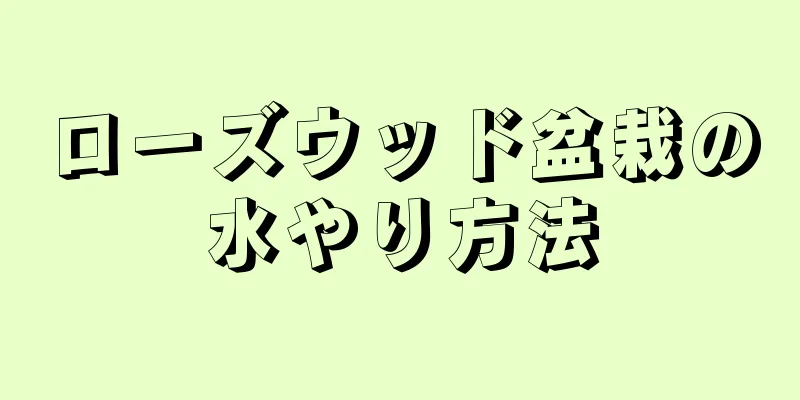 ローズウッド盆栽の水やり方法