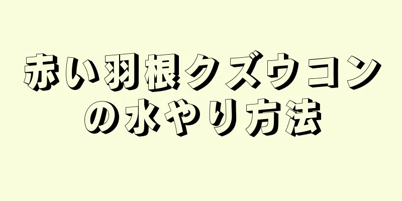 赤い羽根クズウコンの水やり方法