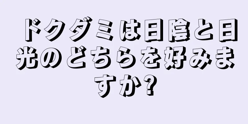 ドクダミは日陰と日光のどちらを好みますか?