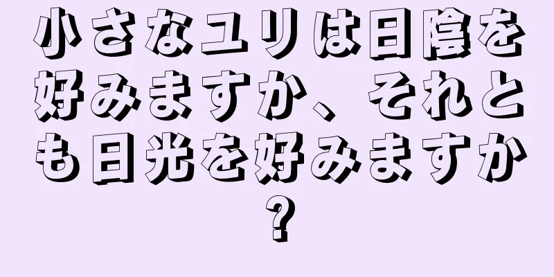 小さなユリは日陰を好みますか、それとも日光を好みますか?